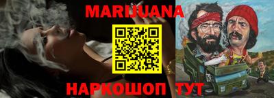 МДПВ Камышлов