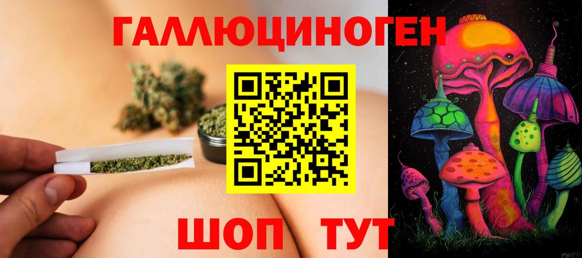 Псилоцибиновые грибы Psilocybe Казань